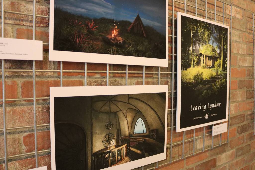 Video-game art design shines at VALA display