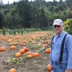 Bill Serres stands in front of one of his pumpkin patches on Monday morning. Aaron Kunkler/Redmond Reporter