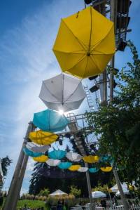 Let there be Redmond Rain Fest