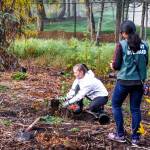 Plenty of planting at Green Redmond Day