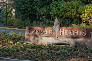 I’m not ready yet | Senior Column