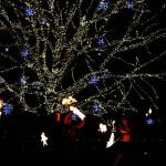 Fire dancers entertain the crowd as the massive tree lights up the Redmond City Hall Campus tonight. Andy Nystrom, Redmond Reporter