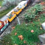 The miracle of volunteers at Emerald Heights