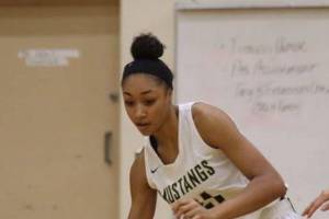 Wolverines conquer Mustangs in KingCo tournament championship game