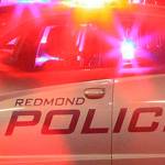 Ignition interlock device, bags and personal items stolen in car prowls | Police Blotter for Feb. 27-March 5