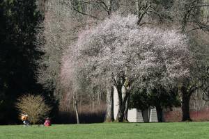 Enjoying the warm day at Marymoor Park