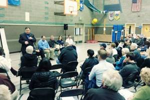 Fate of Idylwood trees to be determined by hearings examiner