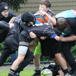 It’s a rugby time of year