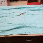 Jay Cooks body was wrapped in this blanket, investigators say, and they hope someone will recognize it. It did not belong to Cook or his girlfriend, Tanya Van Cuylenborg, and their families do not recognize it. (Snohomish County Sheriffs Office)