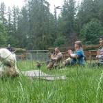 Redmond park to host ‘Yoga with Animals’