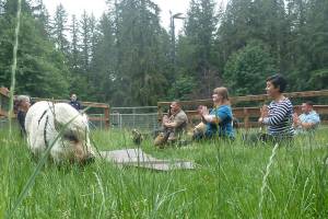Redmond park to host ‘Yoga with Animals’