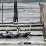 Ron Buckner (right) and Jim Fetzer struggle to make it back to the 10th Street Boat Launch during one of the lowest tides of the year. (Lizz Giordano / The Herald)