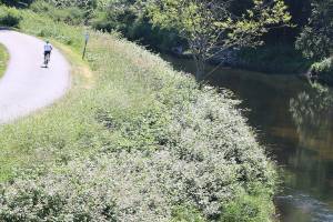 Hikers and bikers of all levels can get up and go on multitude of trails