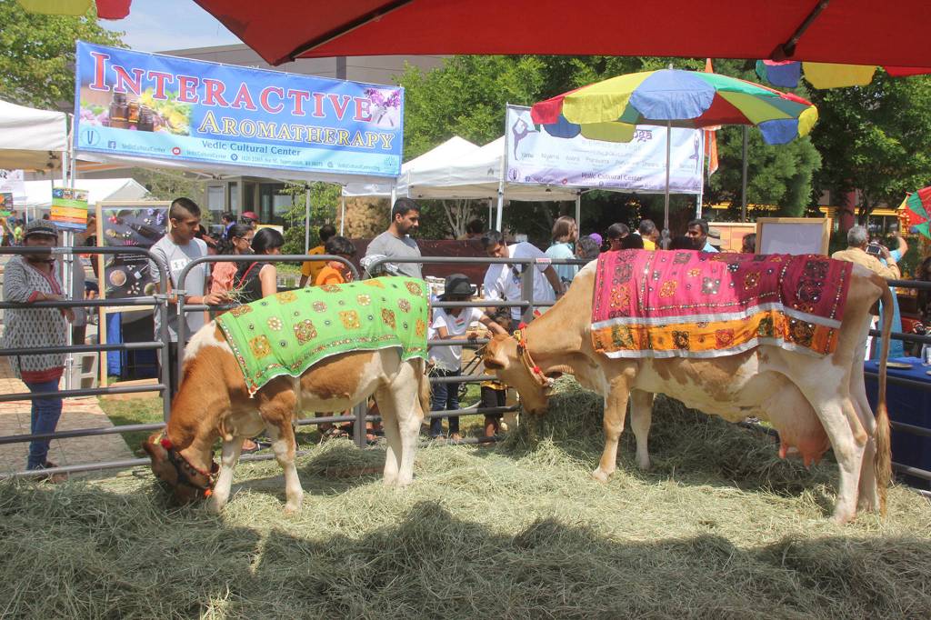Indian festival draws thousands to Redmond