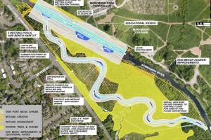 County moves ahead with Marymoor wetland restoration