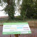 Twenty-eight trees will be removed from Idylwood Park after a park-goer was injured by a falling limb last year. Aaron Kunkler/staff photo