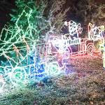 The city of RedmondsRedmond Lights festival Dec. 1-2. Photo courtesy of Redmond Parks and Recreation Facebook