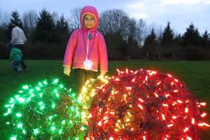 Redmond lights up the night with annual holiday festival