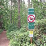 With some community feedback, the City gathered they will prioritize work to make accessible three more tennis courts, three picnic areas/shelters five more playgrounds, and six ballfields, along with additional improvements to overall access. Photo courtesy of Experience Redmond