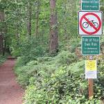 With some community feedback, the City gathered they will prioritize work to make accessible three more tennis courts, three picnic areas/shelters five more playgrounds, and six ballfields, along with additional improvements to overall access. Photo courtesy of Experience Redmond