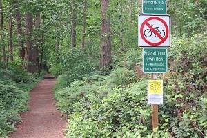 With some community feedback, the City gathered they will prioritize work to make accessible three more tennis courts, three picnic areas/shelters five more playgrounds, and six ballfields, along with additional improvements to overall access. Photo courtesy of Experience Redmond