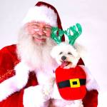 Wag N’ Wash Redmond hosts Santa Paws photo event