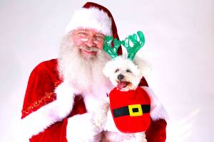 Wag N’ Wash Redmond hosts Santa Paws photo event