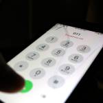 Kailan Manandic, Photo illustration