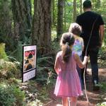 Photo courtesy of Elisabeth Lepine