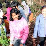 Sustainability in action at LWSD