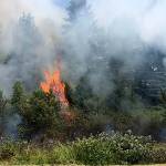 An image of the fires on the Powerline Trail in Redmond. Photo courtesy of Michael Snook