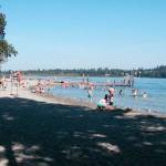 E. coli levels lead to Idylwood Beach closure