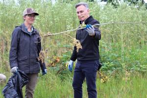 County debuts noxious weed mobile app