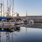 Ultimate Cruise Job: Lights, Camera, CRUISE