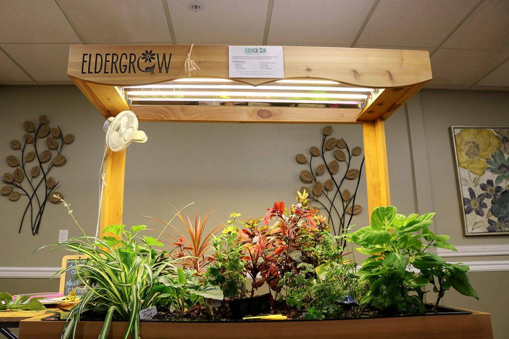 The indoor therapy gardens help stimulate residents senses and memory and improves motor skills, self-esteem, and sleep. Stephanie Quiroz/staff photo