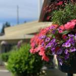 When you’re not ready to go home from the hospital,