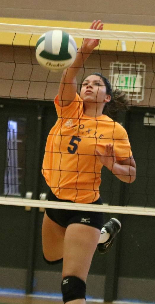 Bhavya Garlapati attacks the net. Andy Nystrom/ staff photo