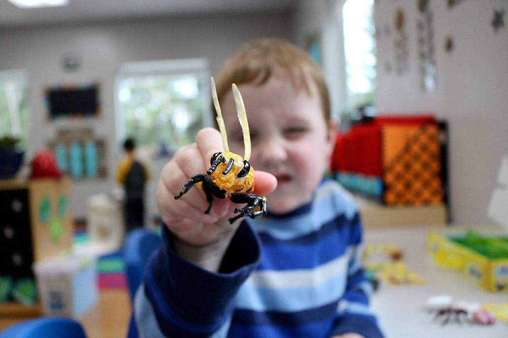 Preston plays with a bee after testing an interactive toy at the 12th annual Goddard School toy test in Redmond.