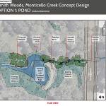 The preferred Smith Woods, Monticello Creek preferred design alternative. Photo courtesy of the city of Redmond