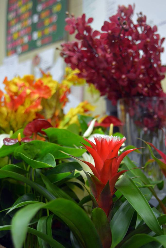 Flowers at Bear Creek Florist. Samira George/staff photo