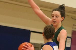 Owls and Grizzlies are hitting the hardwood