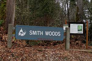 Jake Berg/staff photo                                 The main trailhead for Smith Woods park.