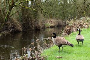 Redmond seeking community input on stormwater permit