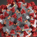 Latest numbers: Washington COVID-19 outbreak by county