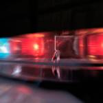 How to report unemployment fraud