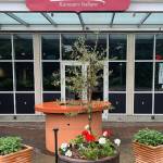 Zio Sal Ristorante Italiano joins longstanding sister restaurant in Bellevue, Firenze Ristorante, which has welcomed guests for 28 years with its fresh flavors and Old Country recipes.