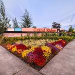 Setting a wellness goal for the second half of 2020? Grand Ridge Plaza has a range of health and fitness professionals to get you on the right track.