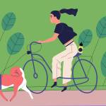 Best CBD oil for dogs