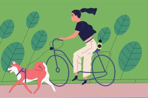 Best CBD oil for dogs