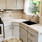 Chris Shin and Nicole Appell have undertaken many home renovations over the past few years, but Nicole says the new kitchen countertops from Granite Transformations are her favorite. Granite Transformations photo.